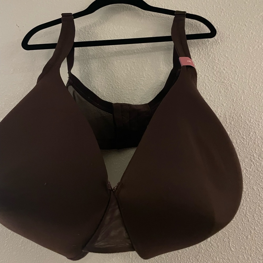 Cacique brown bra